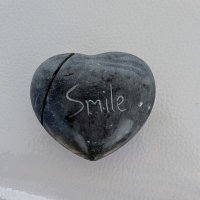 アルとレオ (@yszf6txqxa19512) Twitter profile photo