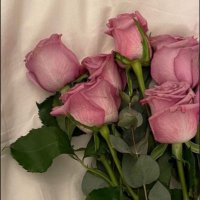 أمنيه✨ (@omniasiddig0) 's Twitter Profile