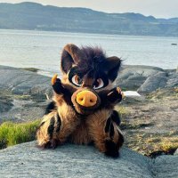 Sleeping Steve (@steve_sleeping) 's Twitter Profile Photo Sleeping Steve (@steve_sleeping) 's Twitter Profile Photo