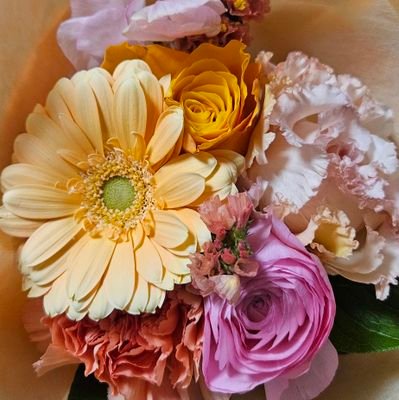 @pon__258
