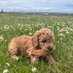 Fredoxie (@fredoxie_) Twitter profile photo Fredoxie (@fredoxie_) Twitter profile photo