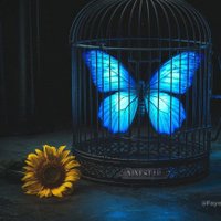 OtherC_35 (@otherc3_4) 's Twitter Profile