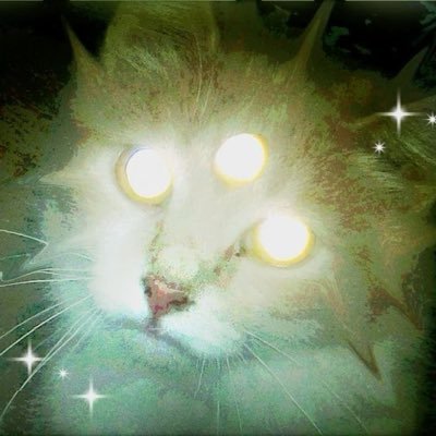 ꒰ horror game enthusiast ‧˚🈯️ ୧ she / any ⋆˚𝜗𝜚˚⋆ pothead conspiracist ☸︎ † ૮꒰ ˶• ༝ •˶꒱ა alien in disguise ꒱ 🪲