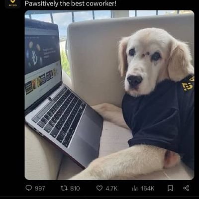 I'm into crypto