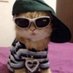 doopizz (@doopizz) Twitter profile photo doopizz (@doopizz) Twitter profile photo