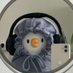 deni (@sologamedates) Twitter profile photo deni (@sologamedates) Twitter profile photo