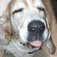 bpennred (@2centscrap) 's Twitter Profile