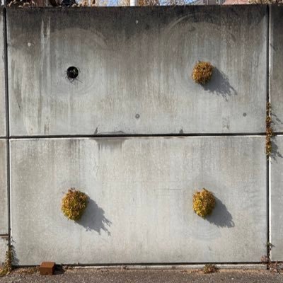 gf90PBSC0W93932's profile picture. 千葉　B3