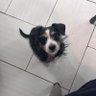 Peter_Panon's profile picture. 