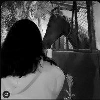 Eiv (@ladysuz7) 's Twitter Profile