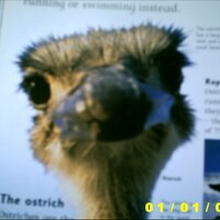 Joanne Sweeney (@jupitersqueen19) 's Twitter Profile