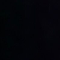 😇 (@loadedotterpig) 's Twitter Profile