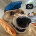 matt (@snoruntt) Twitter profile photo matt (@snoruntt) Twitter profile photo
