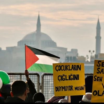 sevval__krclk's profile picture. 🇹🇷
dr.