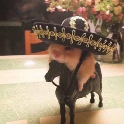 ZyonSanchez's profile picture. they/them, shitty poet