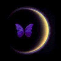 اتول ||💜💜!. (@b1234batwl) 's Twitter Profile