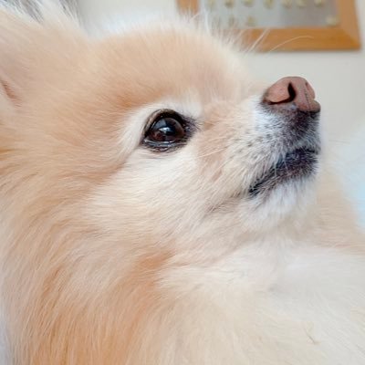 きみはぼくにとって、世界でひとりだけの人になる。️ ️️ ️ ️ ️️ ️
ぼくもきみにとって、世界で一匹だけのキツネになる…⠀ ⠀ ️ ️ ️️ ️ ️️ ️ ️ ️️ ️ ️ ️️ ️ ️ ️ ️️ ️ ️️ ️ ️ ️️ ️ ⠀ ️ ️️ ️ ⠀ @szornu @Njunln