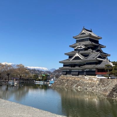 Busy80982's profile picture. 