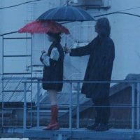 forest green (@no_rome) 's Twitter Profile Photo forest green (@no_rome) 's Twitter Profile Photo