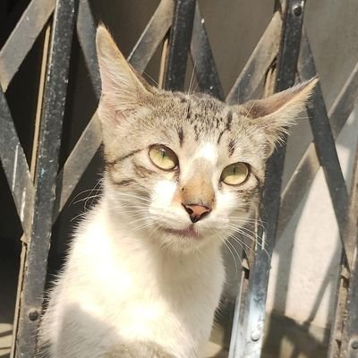 error404ashh's profile picture. 