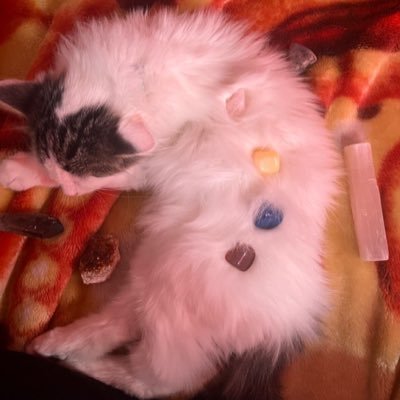 amaeceym06's profile picture. a wishbone never breaks even