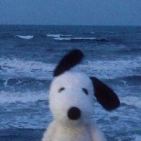 NeonRunner (@e__d__d) 's Twitter Profile