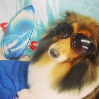 trey (@hvskyk9) 's Twitter Profile Photo trey (@hvskyk9) 's Twitter Profile Photo