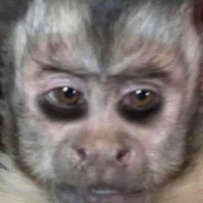 aclockingbitch's profile picture. making hoes mad  is my passion.