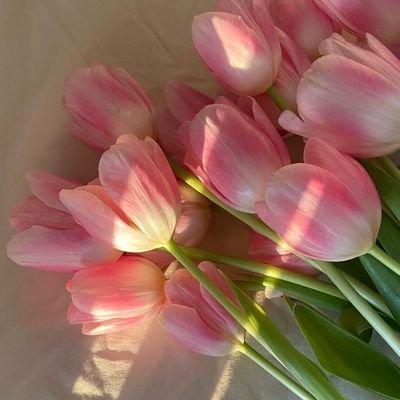 GachaLi16482970's profile picture. 👍💞✨🌸🌺