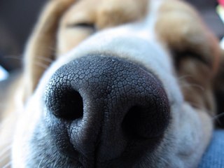 EvaHedeborg's profile picture. 