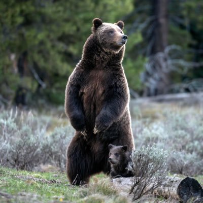 Cheese_hope's profile picture. Christ follower John3:16 :) Packers fan all day!!!