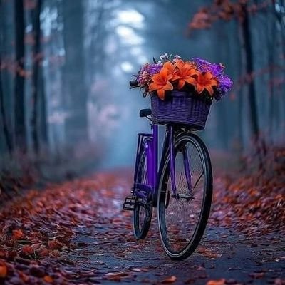 AmmasSana's profile picture. 