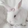 ꕥ미녀의 정석ꕥ (@dontbelazyasap) 's Twitter Profile Photo ꕥ미녀의 정석ꕥ (@dontbelazyasap) 's Twitter Profile Photo