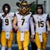 BearZone (@goldonbearzone) Twitter profile photo BearZone (@goldonbearzone) Twitter profile photo