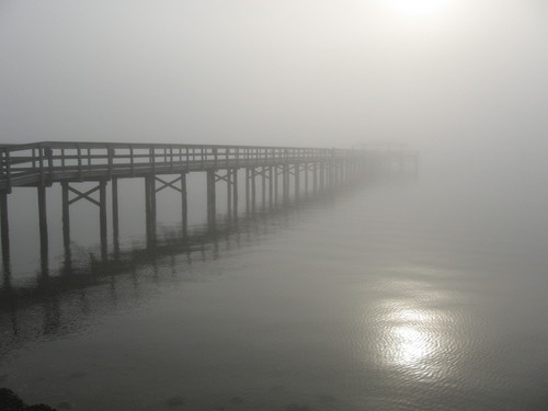 EmptyState's profile picture. 