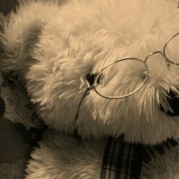 なつみ (@natsumini) 's Twitter Profile Photo