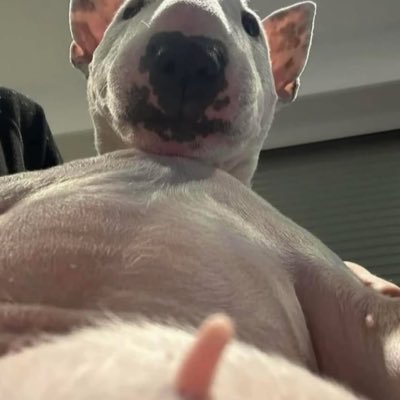 OMIKSS4's profile picture. 🧊🥶