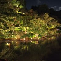 さかる (@gttjpomtsm60829) Twitter profile photo