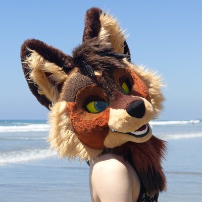 Thicket/Rail π π Megaplex Profile