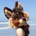 Thicket/Rail 🔞 🔜 FWA, MP (@thicketcoyote) Twitter profile photo Thicket/Rail 🔞 🔜 FWA, MP (@thicketcoyote) Twitter profile photo