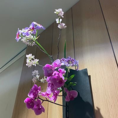 _0f2350's profile picture. 脂肪肝改善しました。こだわりと我が強い小4の息子は嗅覚過敏&中度知的障害の自閉症。発語に難あり。支援級在籍中。ワンオペ育児で常に疲れているため不快な人はブロックしてください。無言フォロー失礼いたします。