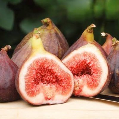 cute_japan0721's profile picture. 