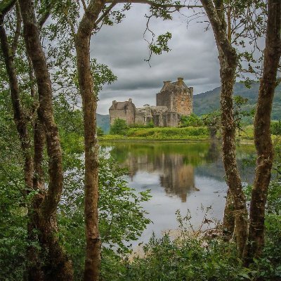 ChrisVera26's profile picture. Est. de Economía 
"Democracia" el Dios que fracaso - Hans Herman Hoppe