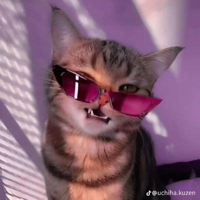 LuisFer42215587's profile picture. amante de la vida y del desmadre xd