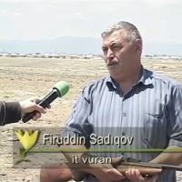 Feridun Sadıkoğlu (@lundkirsali) 's Twitter Profile