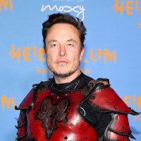 Elon 𝕏 (@elon_084) 's Twitter Profile