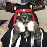 大助 〔虎落〕 (@ddwolfs) 's Twitter Profile Photo