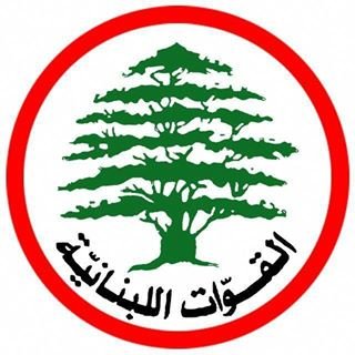 إن تكون لبناني هو شرف وفخر ، والدفاع عن قضيته المقدسة وجعلها معروفة في جميع أنحاء العالم والدفاع عن وحدة أراضيها بمساحة 10،452 كم٢ هو واجب على كل لبناني محترم