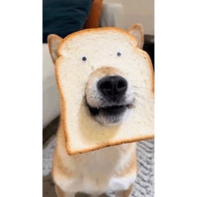 wtmjmjwpmpm's profile picture. 