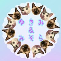 ゆきみそら (@yukimisora_0331) 's Twitter Profile
